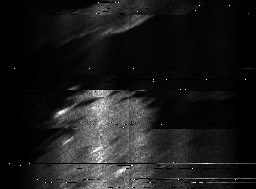 ascat_grayscale_ch6.png